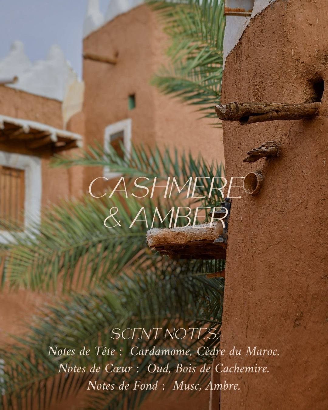 CASHMERE & AMBER CANDLE